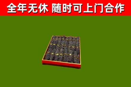 儋州回收海参